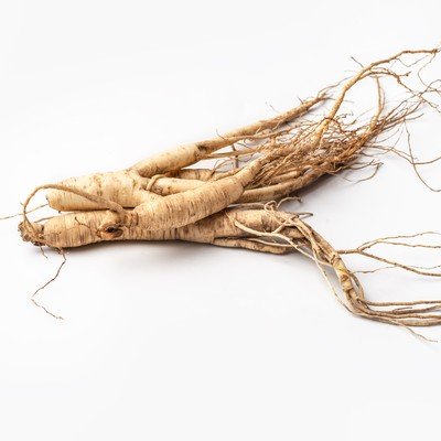 Koreanischer Ginseng